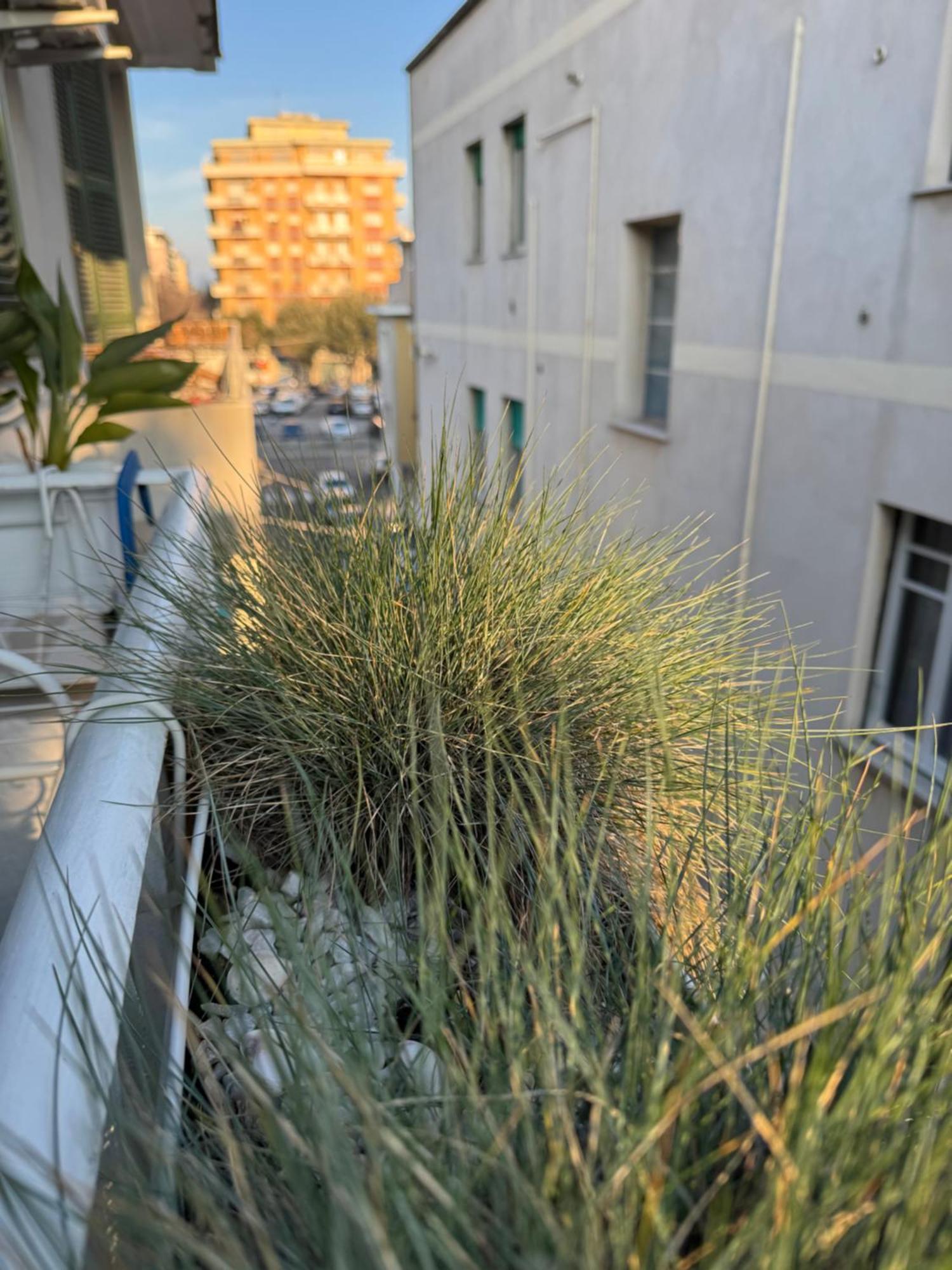Okra Apartment Pescara Centro Екстер'єр фото